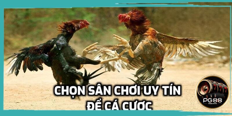 Chọn nhà cái uy tín để chơi