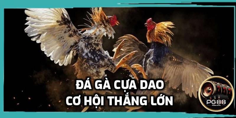 Cơ hội thắng lớn khi chơi