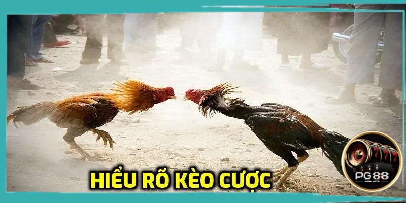 Tìm hiểu rõ tỷ lệ kèo cược