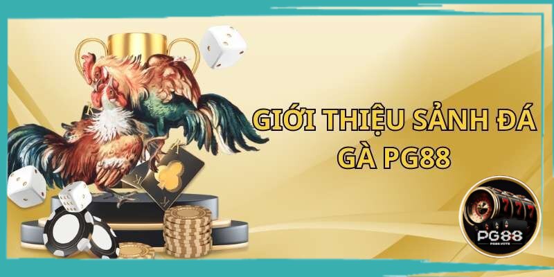 Giới thiệu đá gà PG88