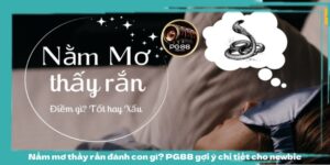 Nằm mơ thấy rắn đánh con gì? PG88 gợi ý chi tiết cho newbie