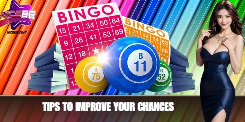 Tips to Improve Your Chances